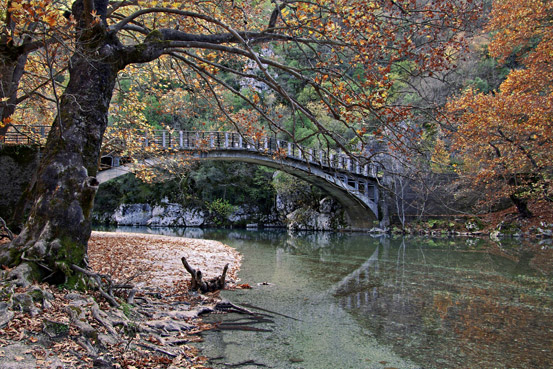 photo "Old Bridge" tags: landscape, water