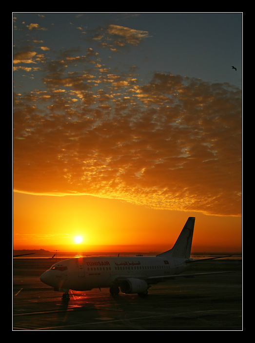 photo "Transfer #2" tags: landscape, travel, Africa, sunset