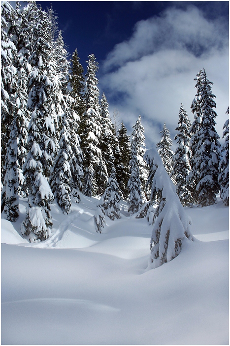 фото "Зимний этюд" метки: пейзаж, горы, зима