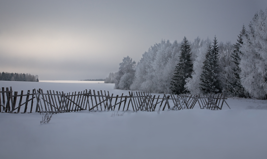 photo "***" tags: landscape, winter