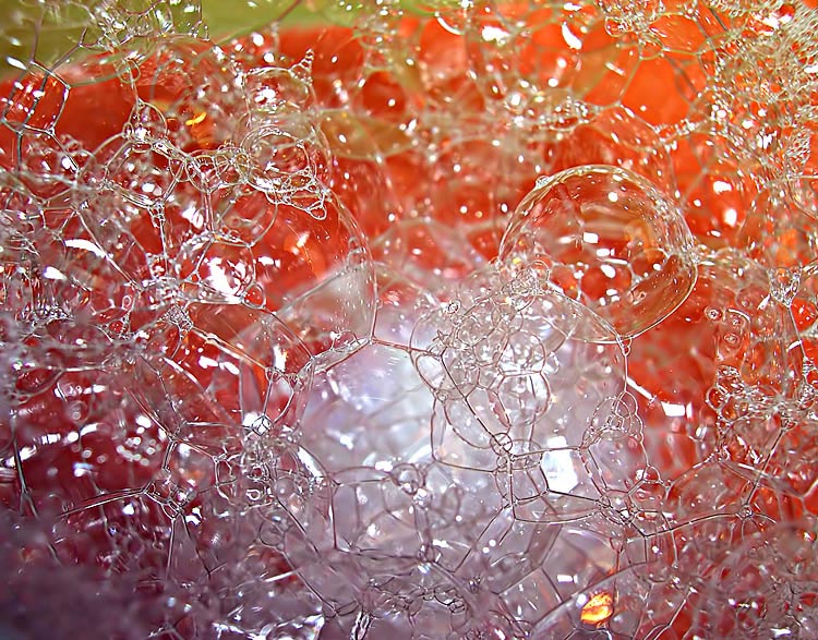 photo "***" tags: macro and close-up, 