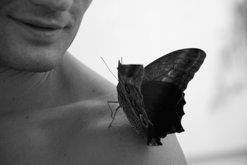 photo "conversation with the butterfly" tags: black&white, 