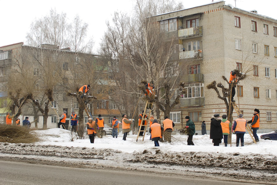 фото ""Грачи прилетели !"" метки: , 