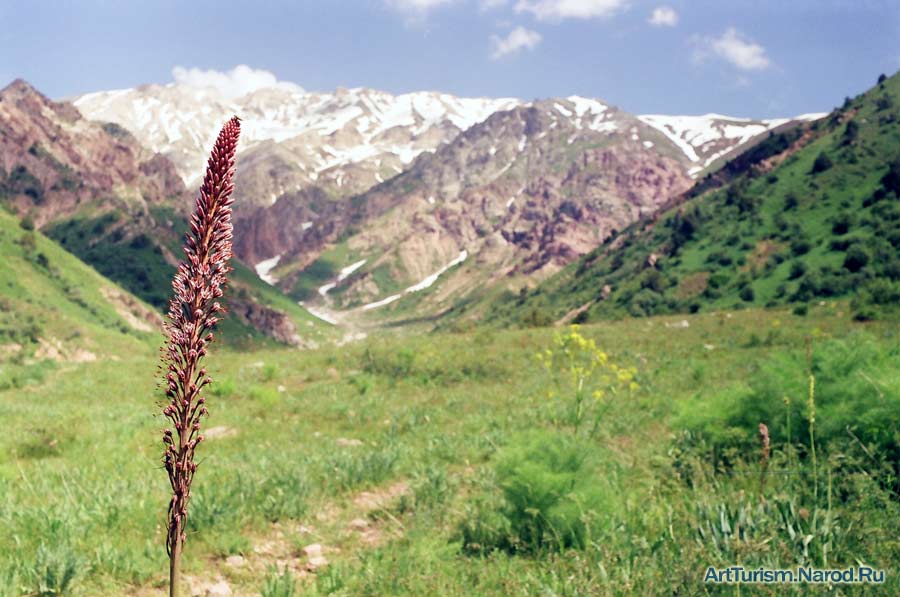 фото "Горная тропа" метки: пейзаж, горы