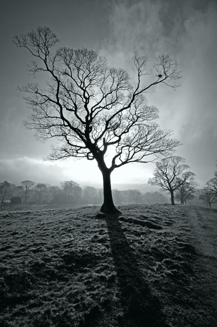 photo "Frosty Morning" tags: black&white, landscape, sunset