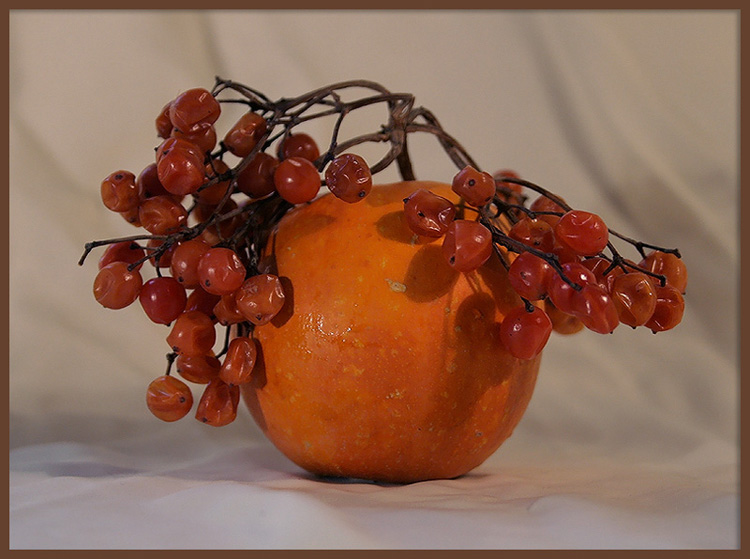 photo "***" tags: still life, 