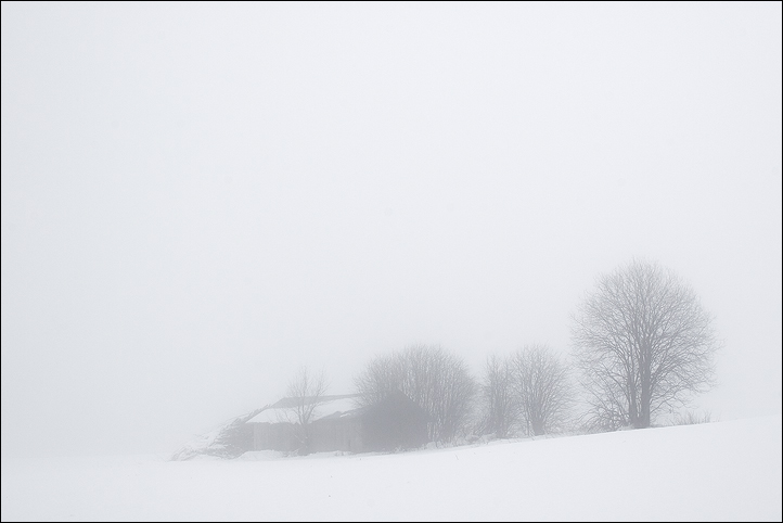 photo "Fog" tags: , 