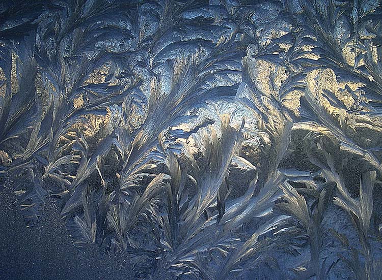 фото "Морозные узоры 3 -  "Морозная Гжель"" метки: пейзаж, зима