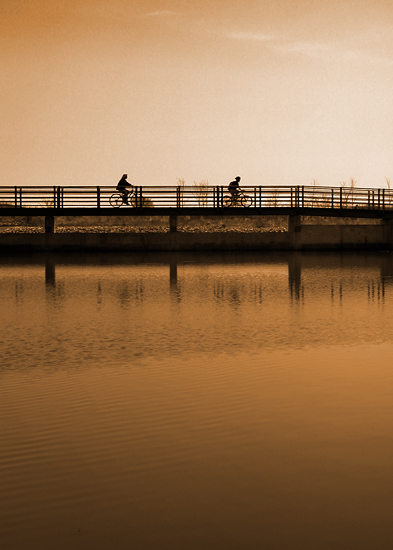 photo "biking at sunset" tags: landscape, misc., water