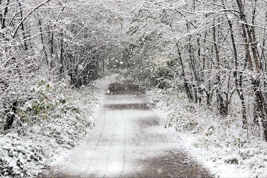 photo "Sleet snow" tags: landscape, winter