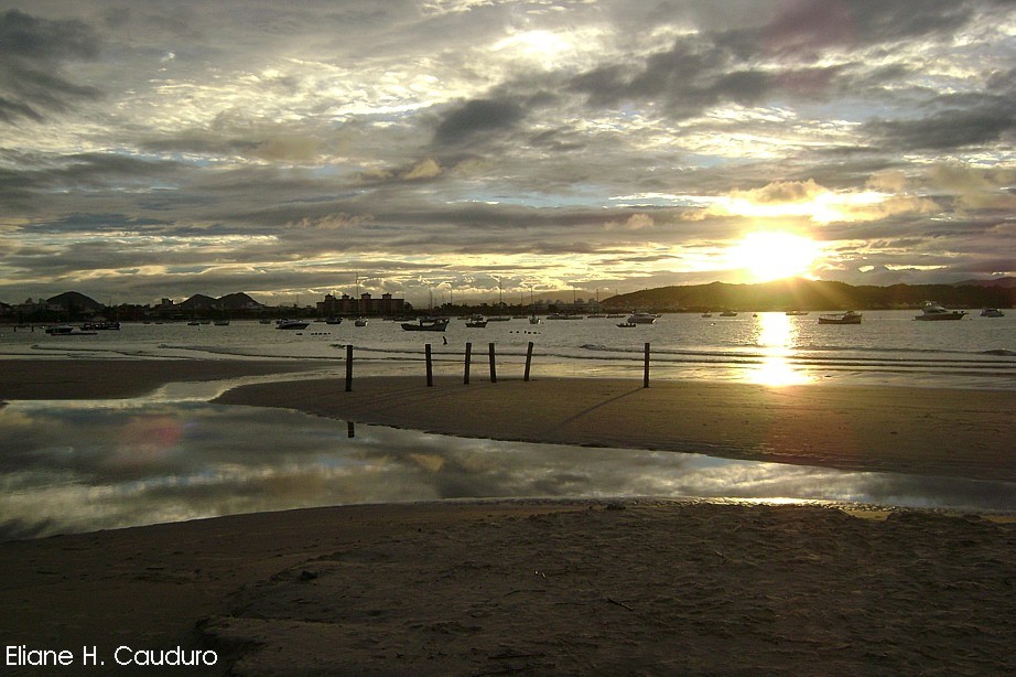 фото "Croa - Florianopolis, SC, Brasil" метки: , 