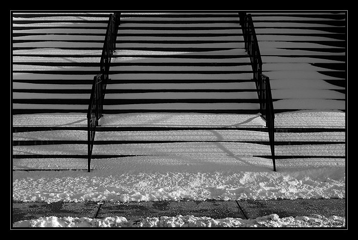 photo "zebra" tags: abstract, 
