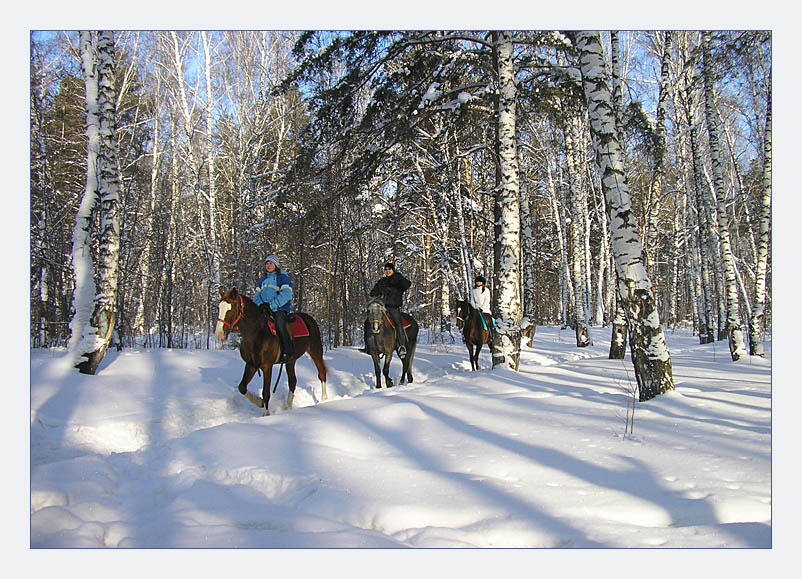 фото "Зимняя прогулка" метки: пейзаж, зима, лес