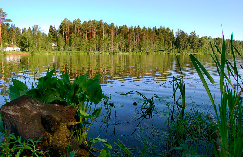 photo "***" tags: landscape, summer, water