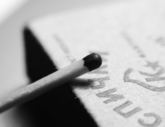 photo "***" tags: macro and close-up, black&white, 