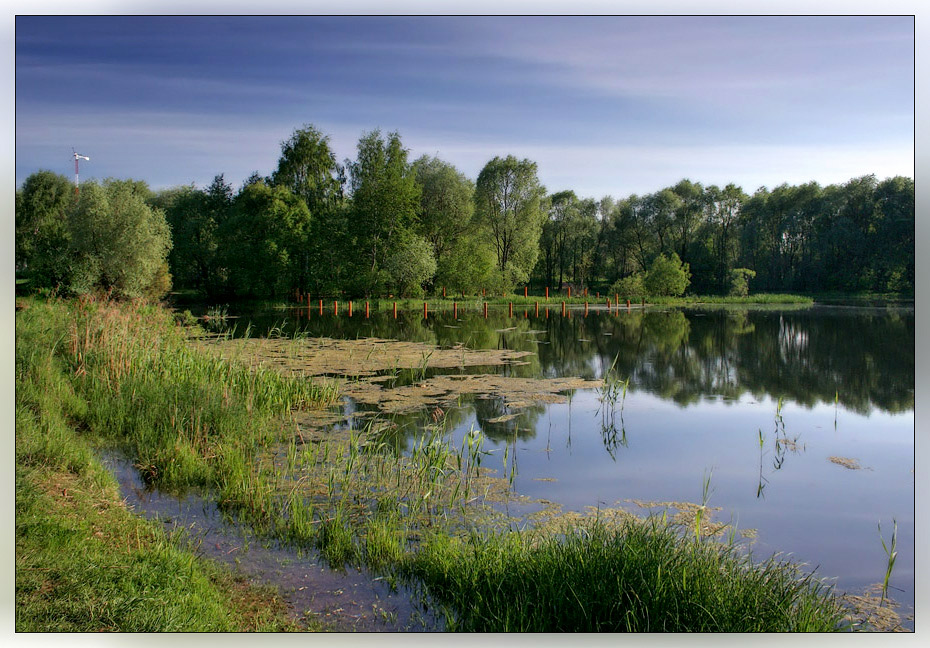 photo "Spring" tags: , 