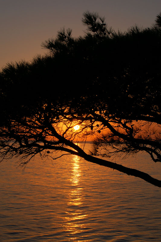 photo "***" tags: landscape, sunset, water