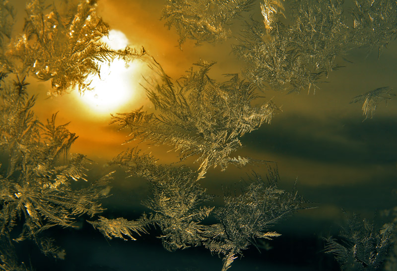фото "Мороз-художник" метки: пейзаж, макро и крупный план, зима