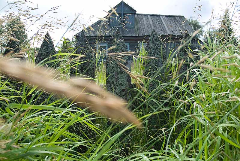 photo "Northern August" tags: architecture, landscape, summer