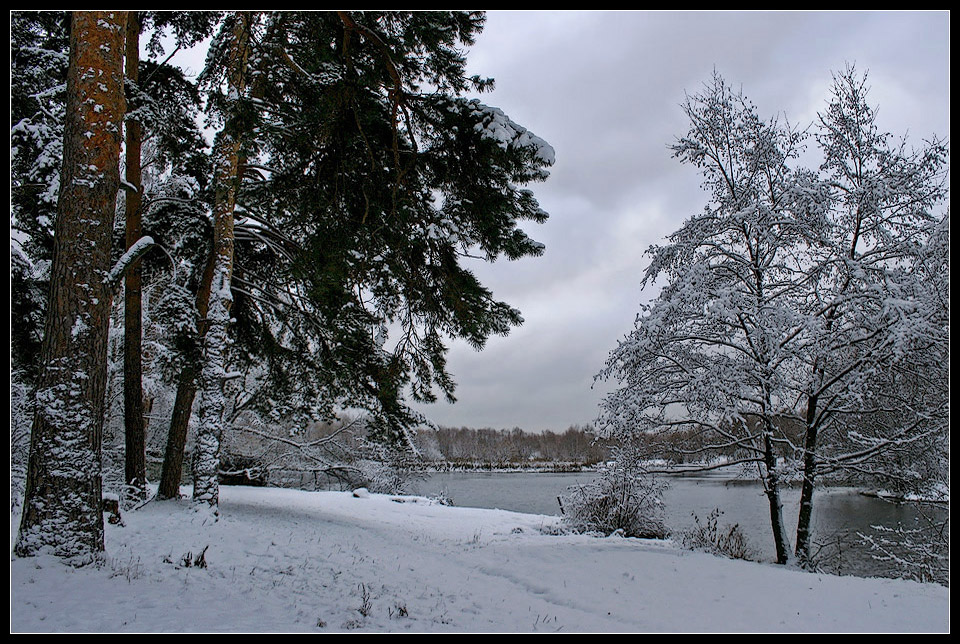 photo "Winter" tags: landscape, forest, winter