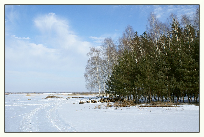 фото "на опушке" метки: пейзаж, зима, лес