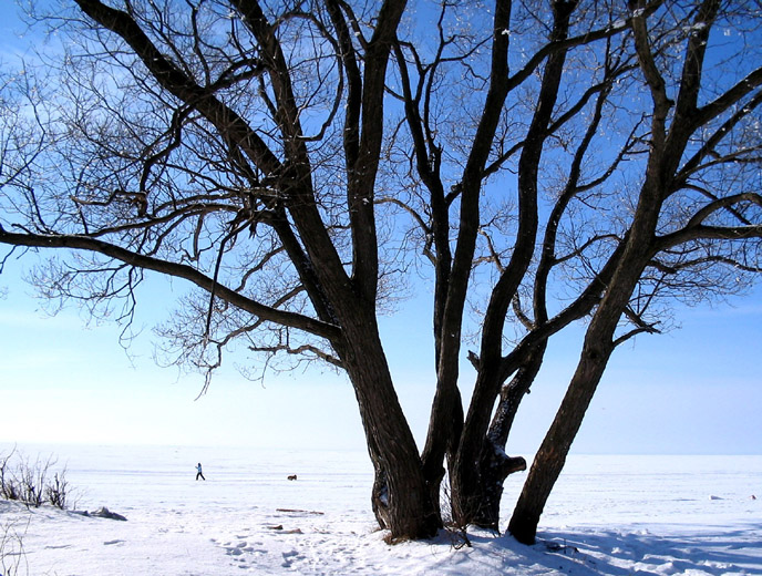 photo "The Open Space" tags: landscape, winter