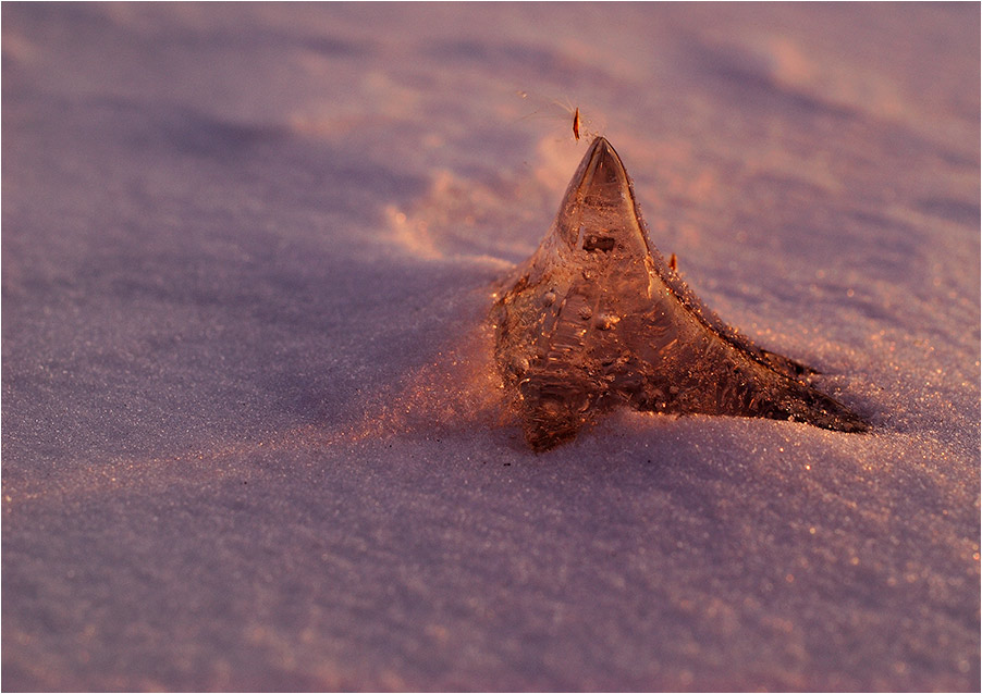 photo "Pyramid" tags: landscape, macro and close-up, winter