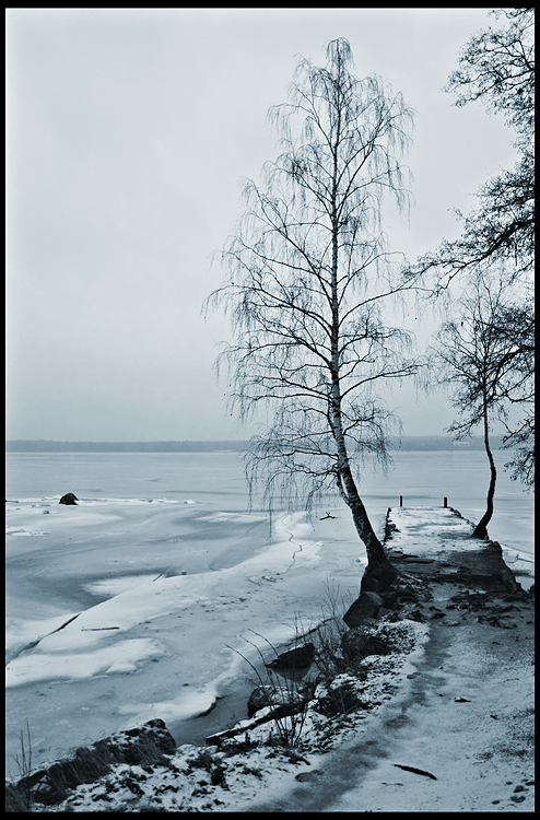 photo "***" tags: landscape, winter