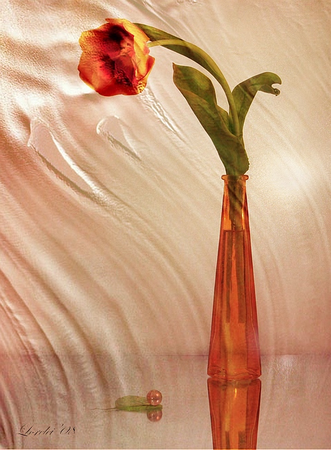 photo "***" tags: still life, 