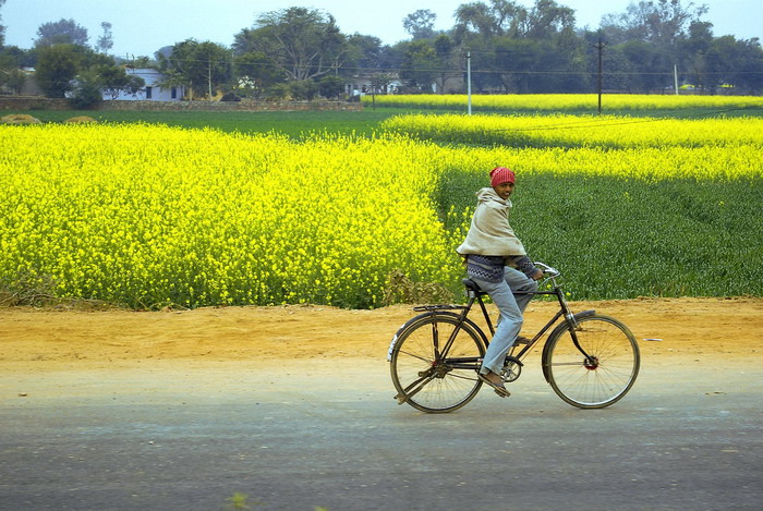 фото "Я буду долго гнать велосипед..." метки: путешествия, пейзаж, Азия
