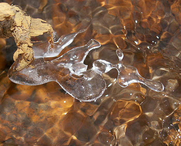 photo "H2O" tags: macro and close-up, landscape, water