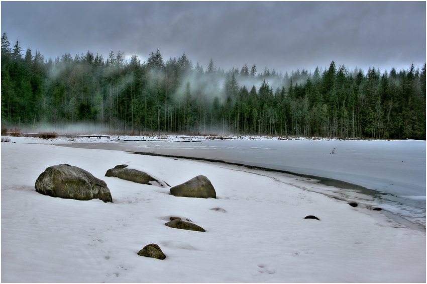 photo "Forest haze" tags: landscape, forest, winter