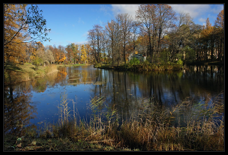 фото "Царское Село. Александровский парк" метки: пейзаж, вода, осень