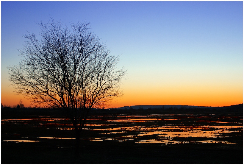 photo "Puddles 2" tags: landscape, night, sunset