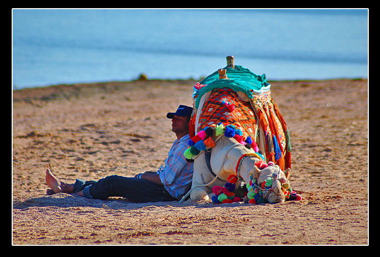 photo "Tired" tags: travel, humor, Africa