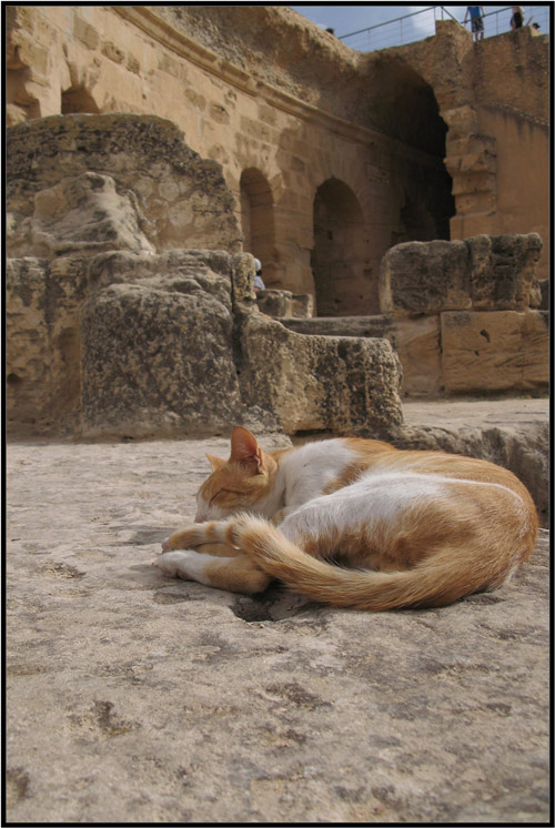 photo "***" tags: architecture, nature, landscape, pets/farm animals