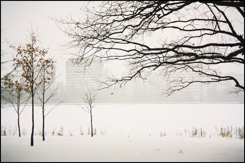 фото "Михалково" метки: пейзаж, зима