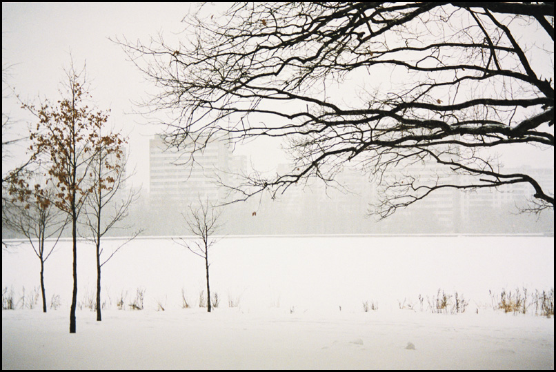 photo "***" tags: landscape, winter