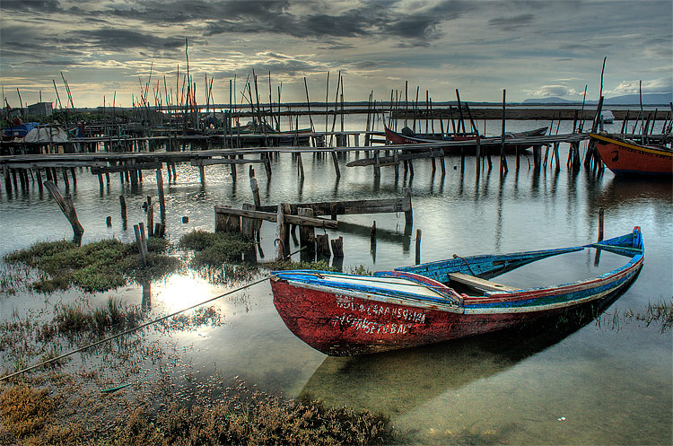 photo "Old boats" tags: landscape, water