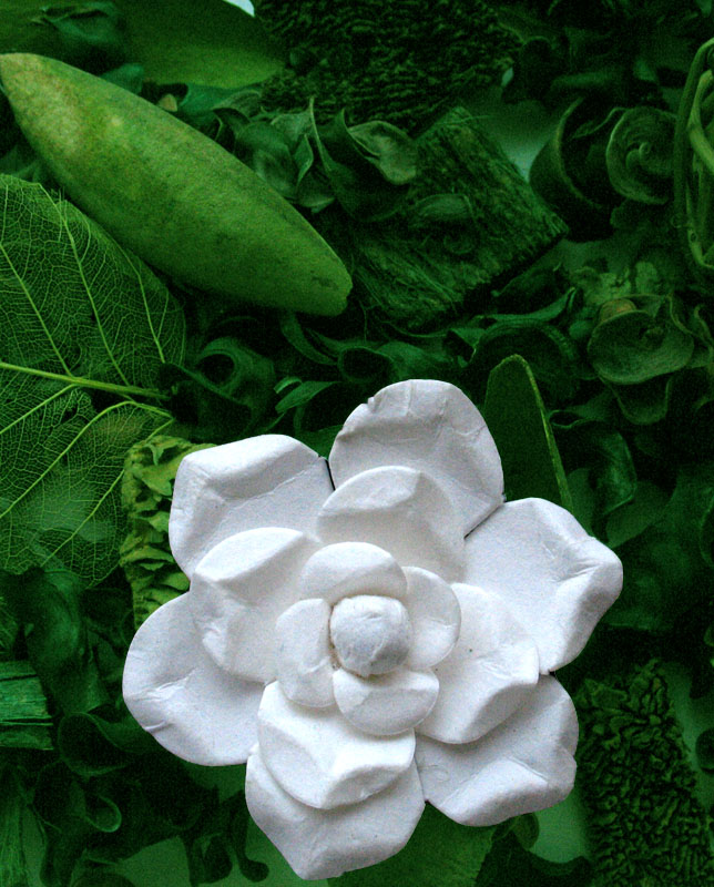 фото "Про одиночество бумажного цветка..." метки: природа, натюрморт, цветы