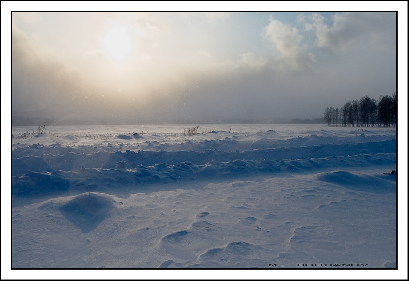 photo "Shine" tags: landscape, winter
