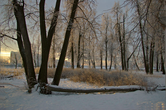 photo "***" tags: landscape, sunset, winter