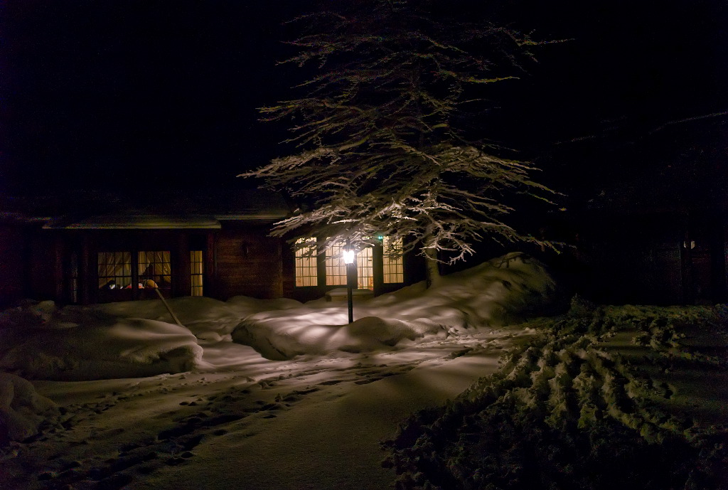 photo "The Lighted Path" tags: landscape, winter