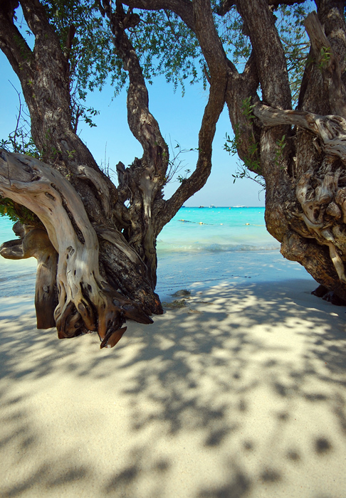 photo "Hardtien beach" tags: landscape, water