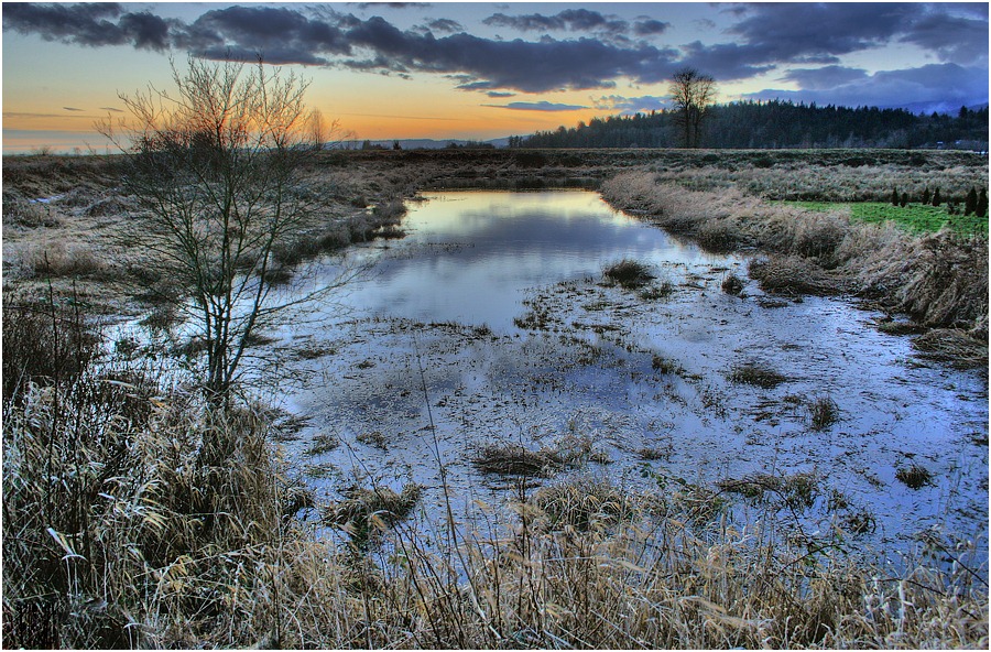 photo "Evening" tags: landscape, sunset, water