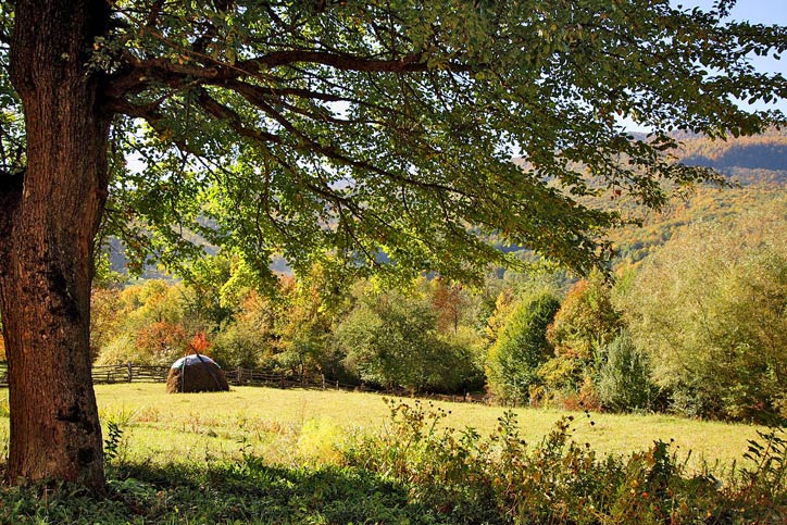 photo "***" tags: landscape, autumn