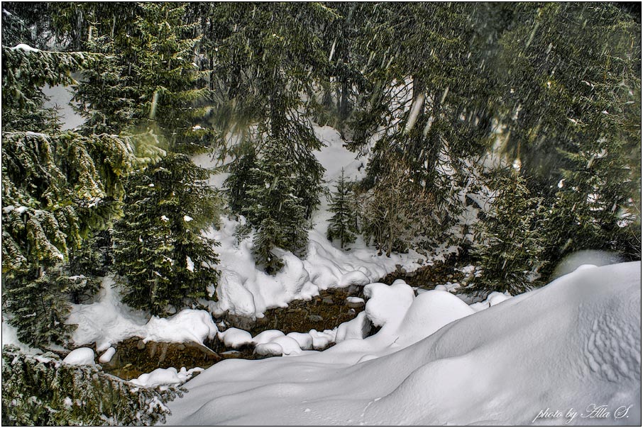 фото "А снег идет...." метки: пейзаж, зима, лес
