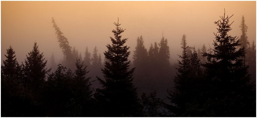 photo "** ** **" tags: landscape, autumn, forest