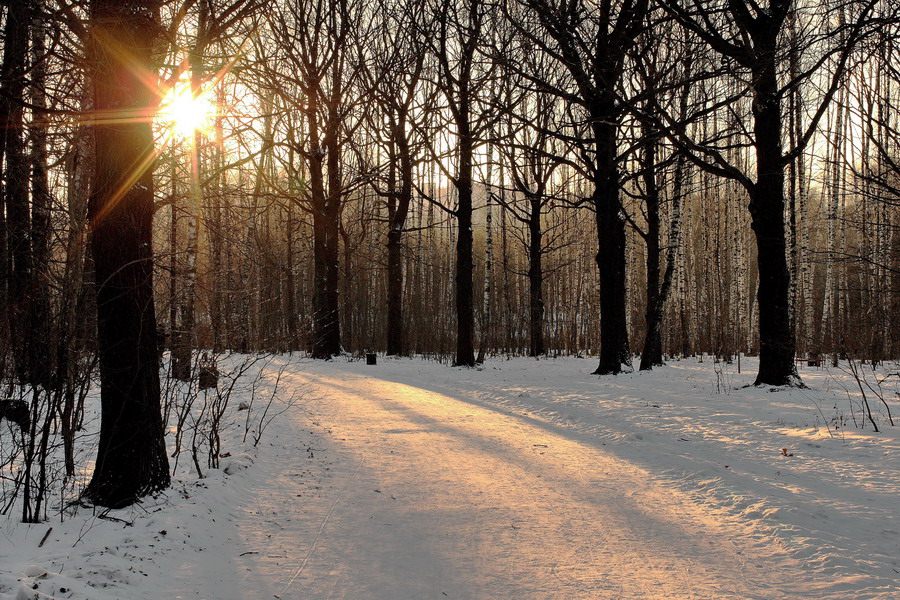 photo "January" tags: landscape, sunset, winter