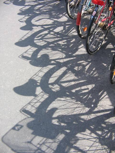 photo "Shadow." tags: , 